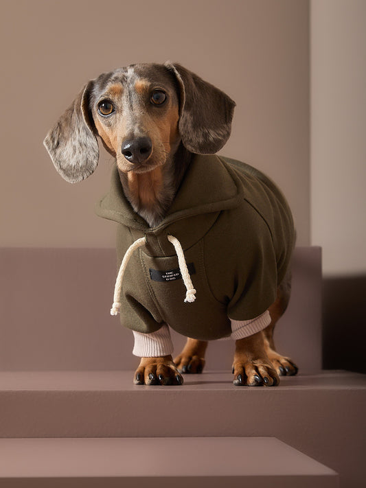 Buzo Verde Cuello Tortuga Salchicha STONE