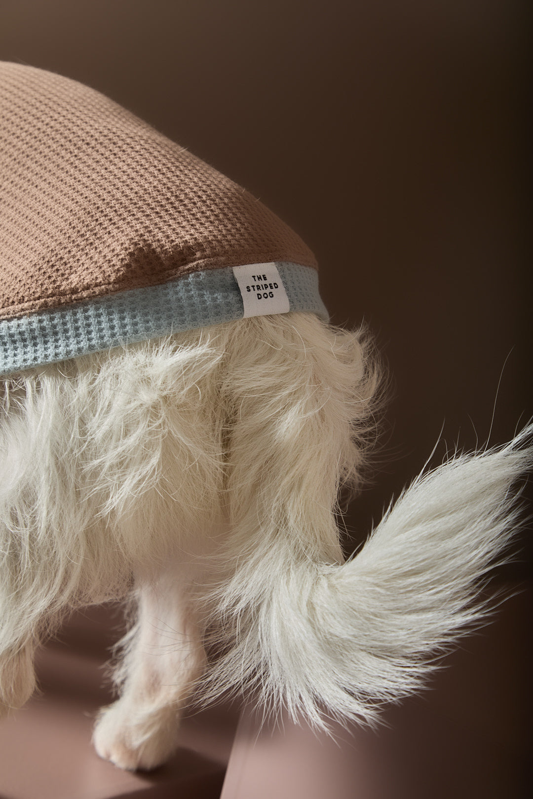 Sueter Waffle Moka GRAIN