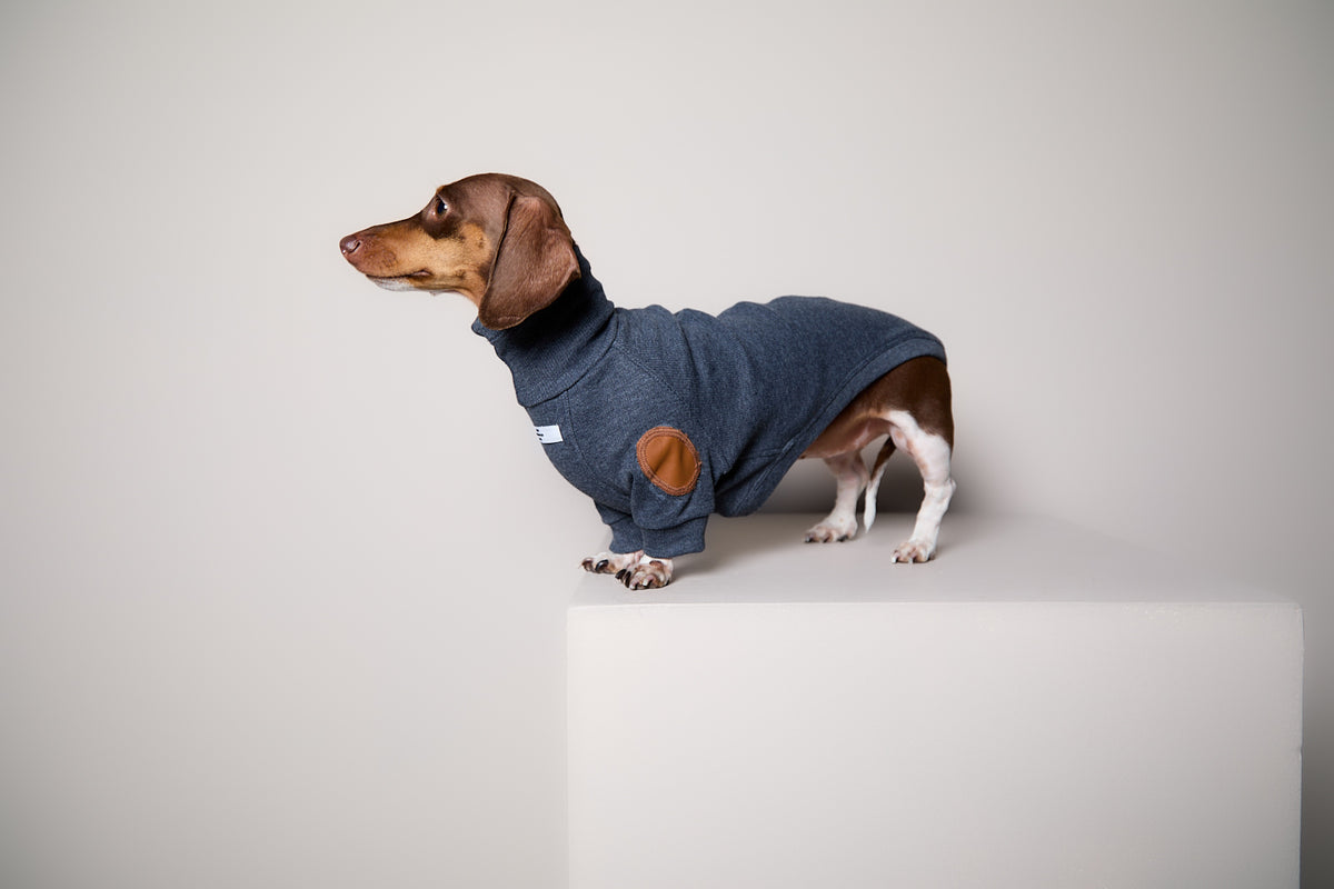 Sueter de Rib Cuello Tortuga Azul Jaspe y Parches MIST para Perro Salchicha