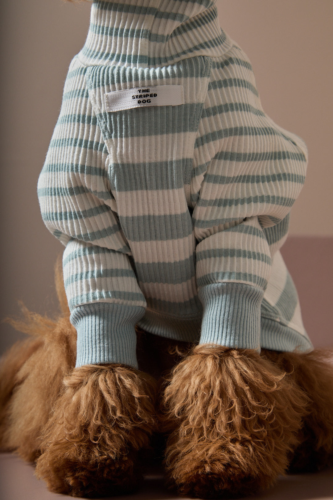 Sueter Rayas Turquesa y Crema Cuello Tortuga REED