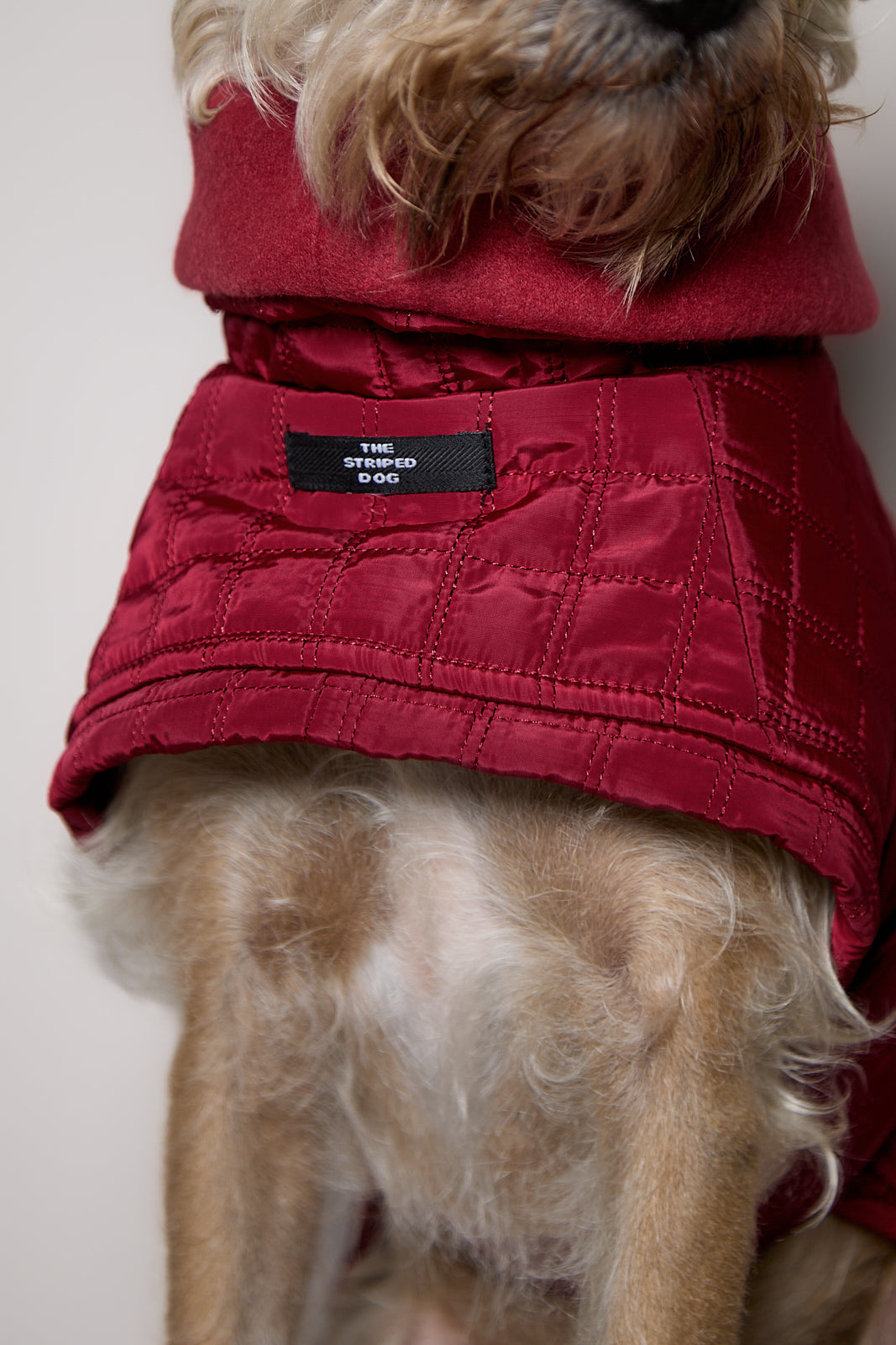 Chaqueta Acolchada Cuello Tortuga Vinotinto VELA para perro Standard