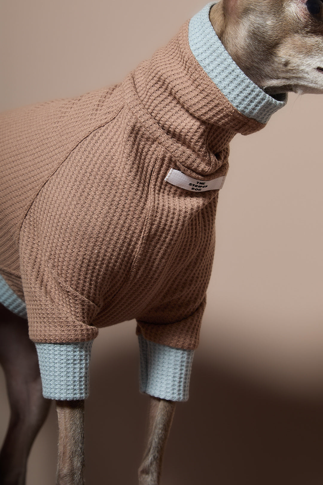 Sueter Waffle Moka GRAIN para Galgo Italiano / Whippet