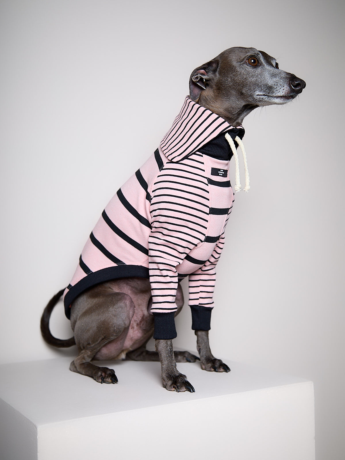 Sueter de Rayas Rosado y Negro LINE para Galgo Italiano / Whippet