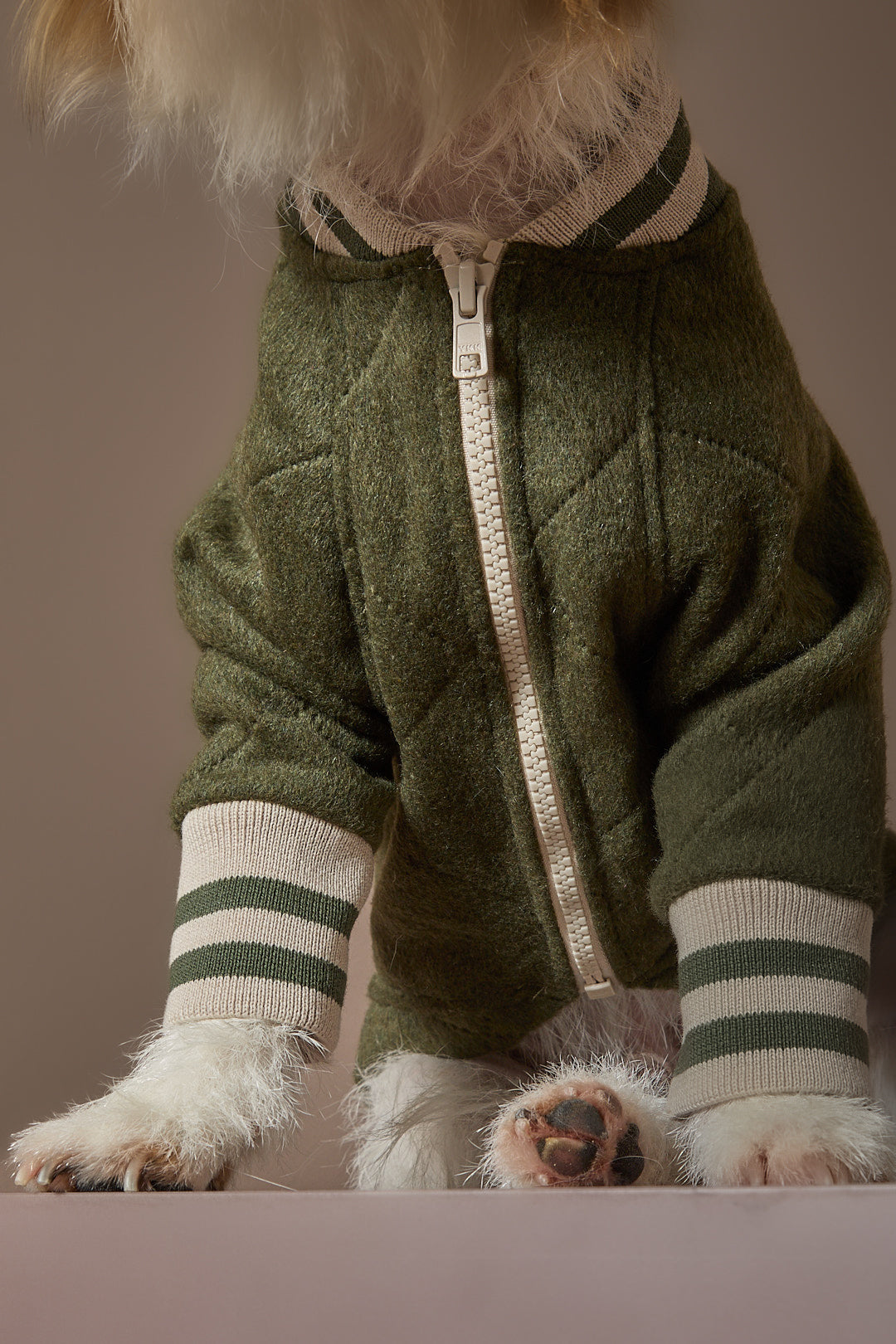 Chaqueta Bomber Verde MOSS