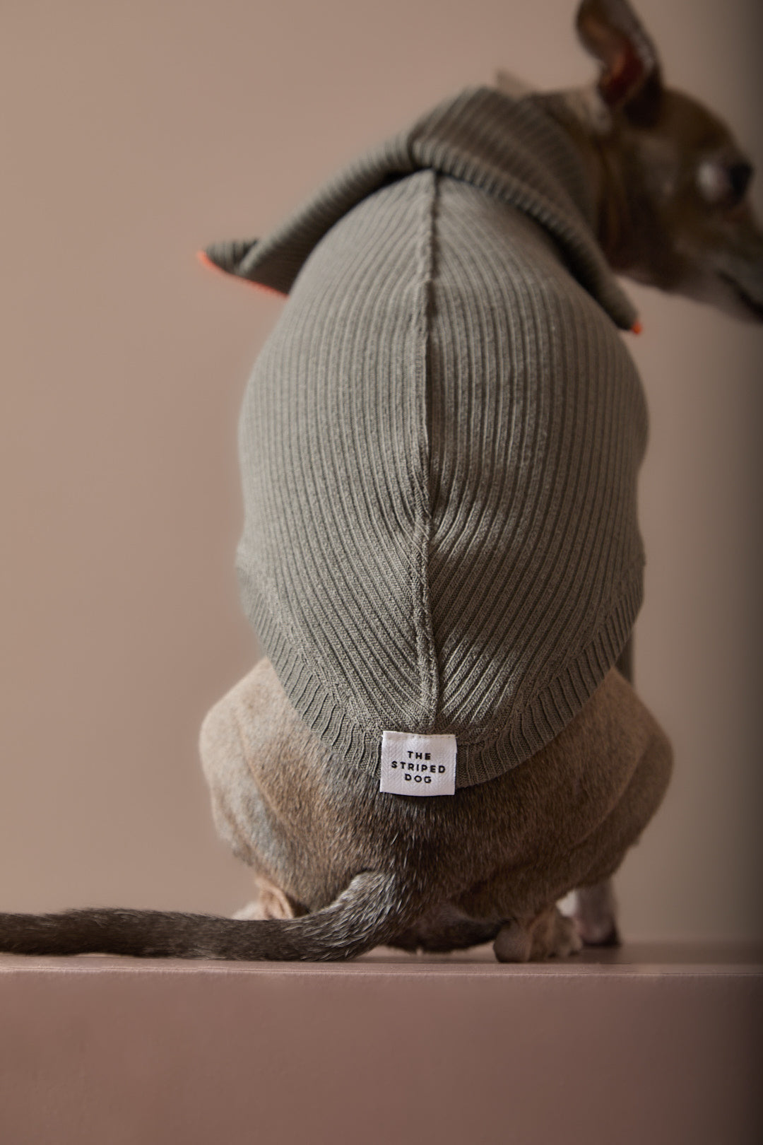 Sueter Verde Militar con Cierre Galgo Italiano / Whippet KNIT