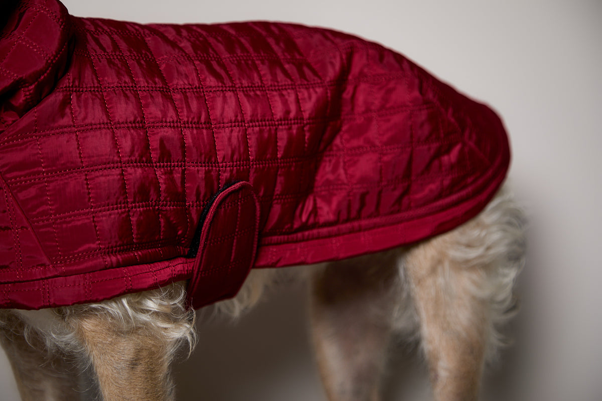 Chaqueta Acolchada Cuello Tortuga Vinotinto VELA para perro Standard