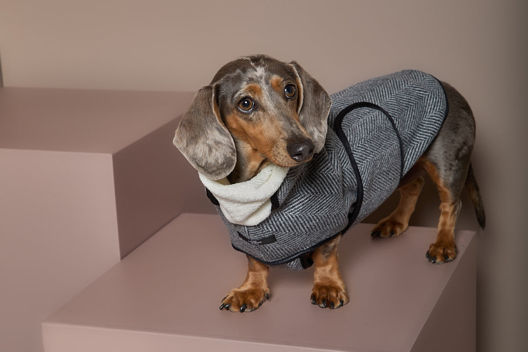 Chaqueta Gris en Espina de Pescado Salchicha TWILL