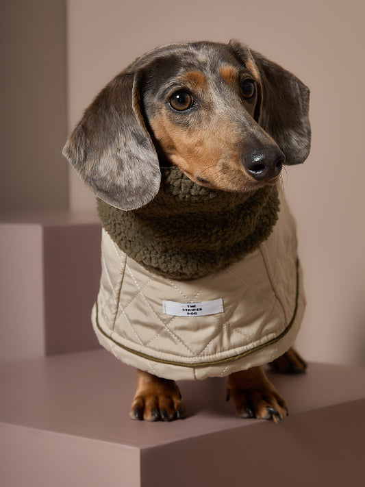 Capa Beige Salchicha FAWN