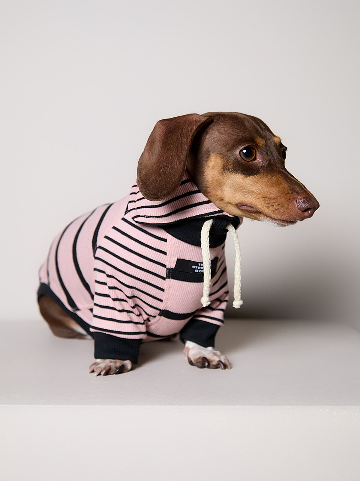 Sueter de Rayas Rosado y Negro LINE para Perro Salchicha