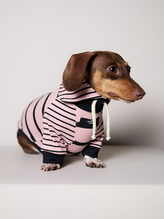 Sueter de Rayas Rosado y Negro LINE para Perro Salchicha