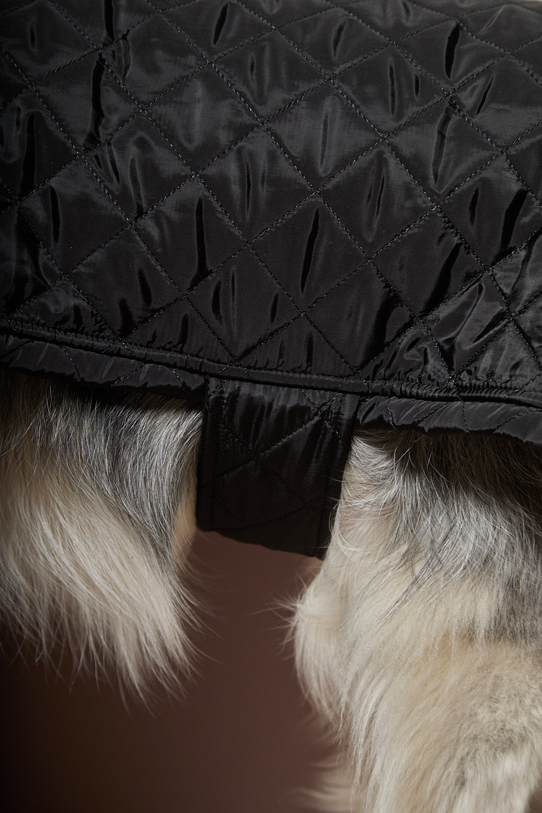 Capa Negra Cuello Tortuga HIRO