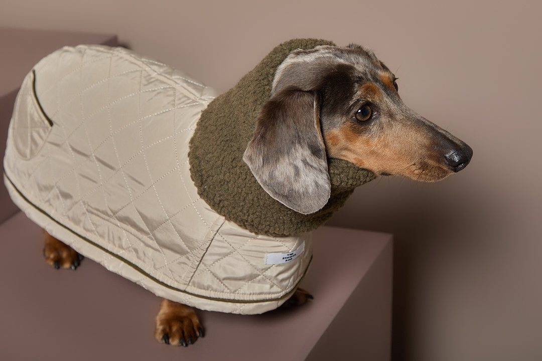 Capa Beige Salchicha FAWN