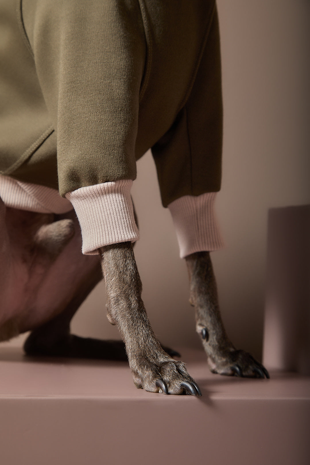 Buzo Verde Cuello Tortuga Galgo Italiano / Whippet STONE