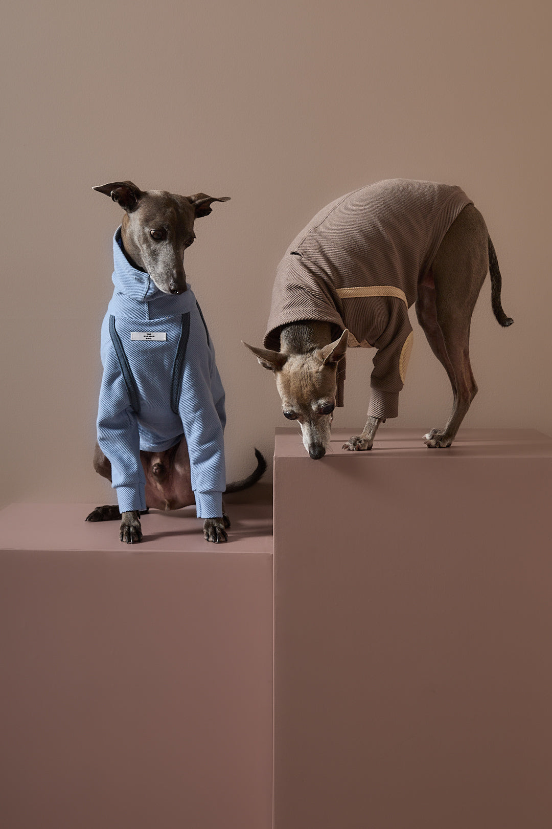 Sueter Azul Claro Cuello Tortuga Galgo Italiano / Whippet CAIRO