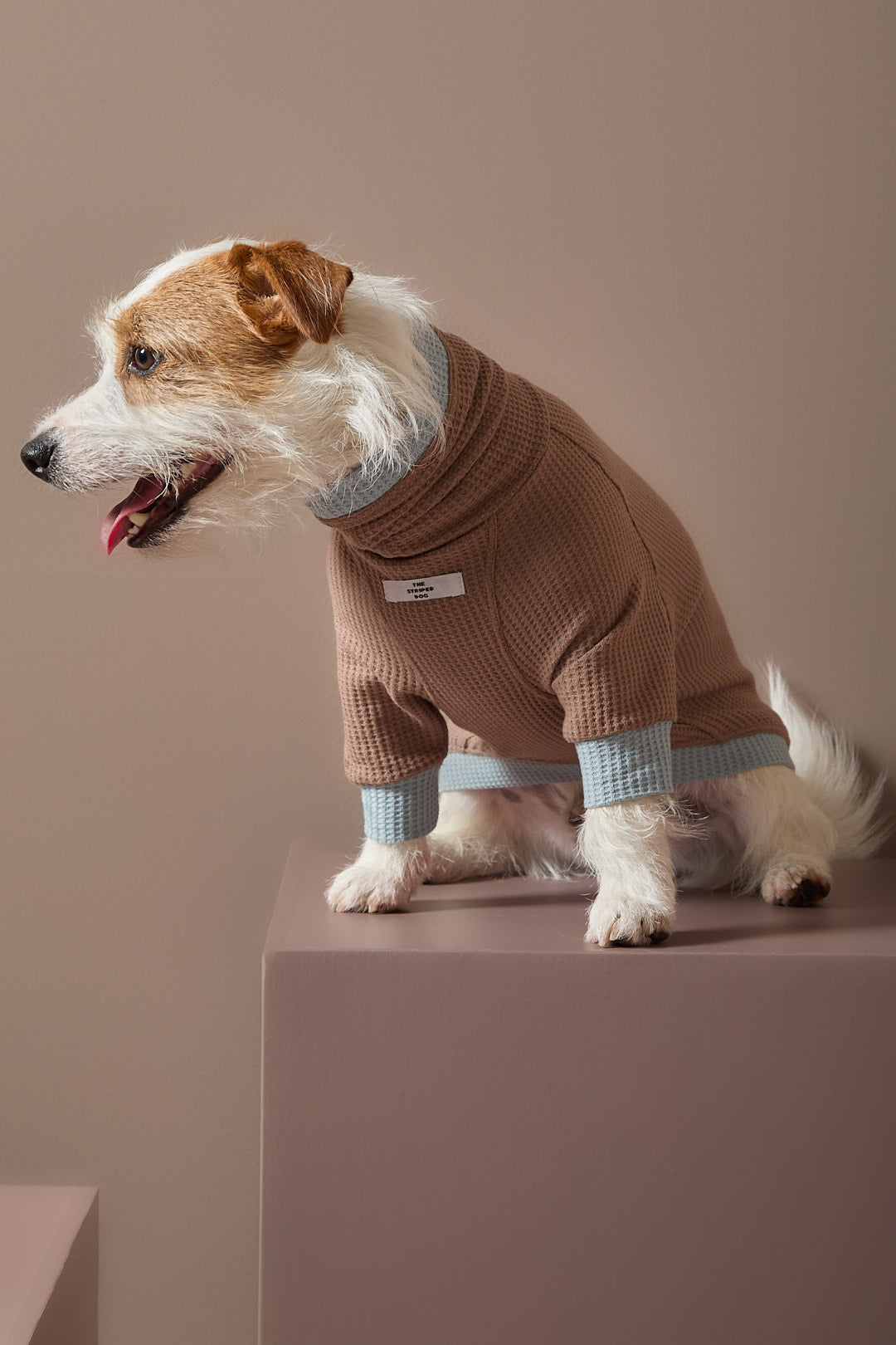 Sueter Waffle Moka GRAIN