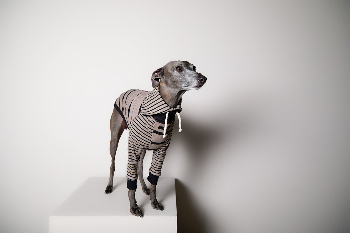 Sueter de Rayas Taupe y Negro LINE para Galgo Italiano / Whippet