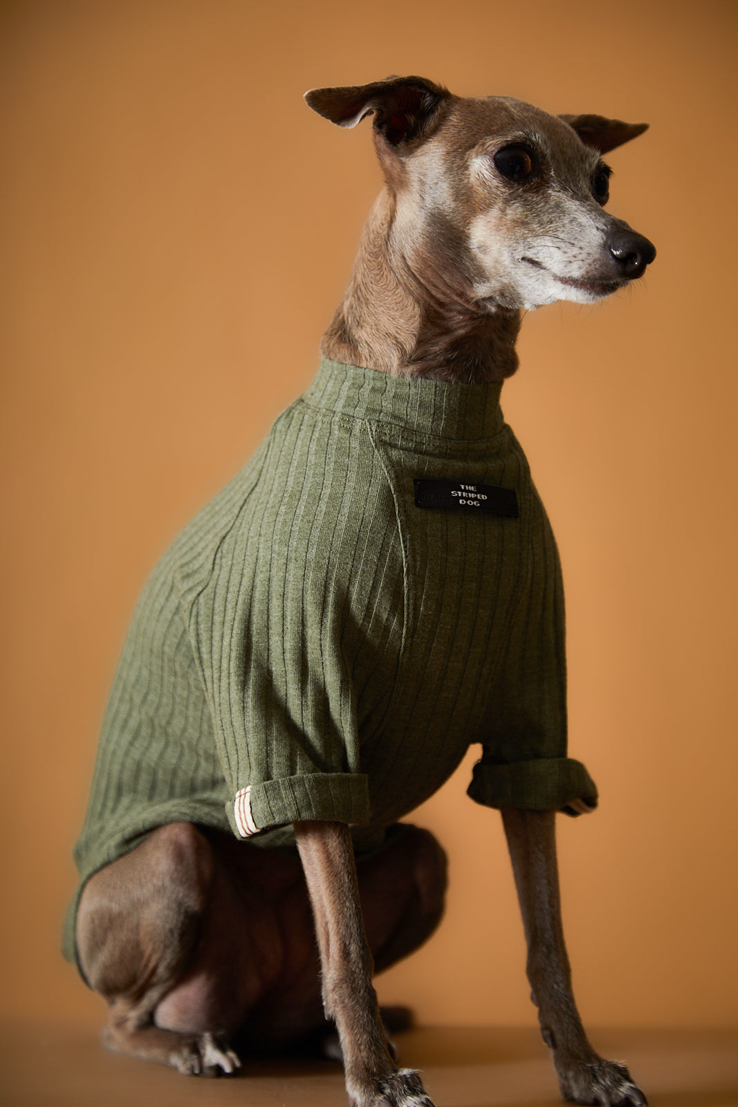 Camiseta Verde Galgo Italiano / Whippet CLAIRE