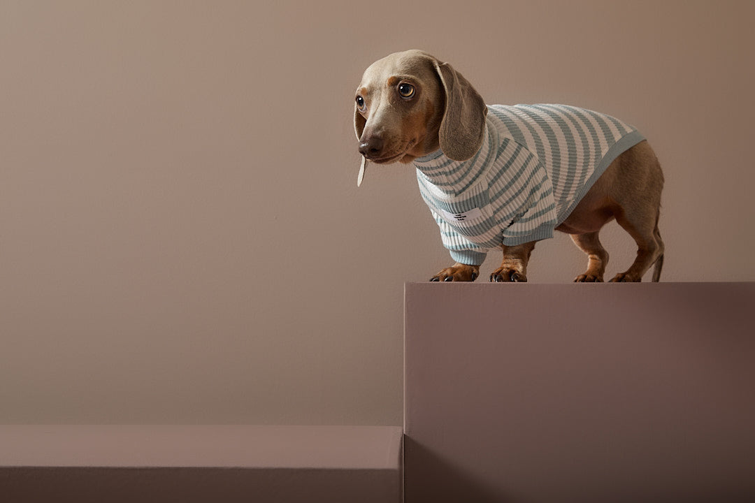 Sueter Rayas Turquesa y Crema Cuello Tortuga Salchicha REED