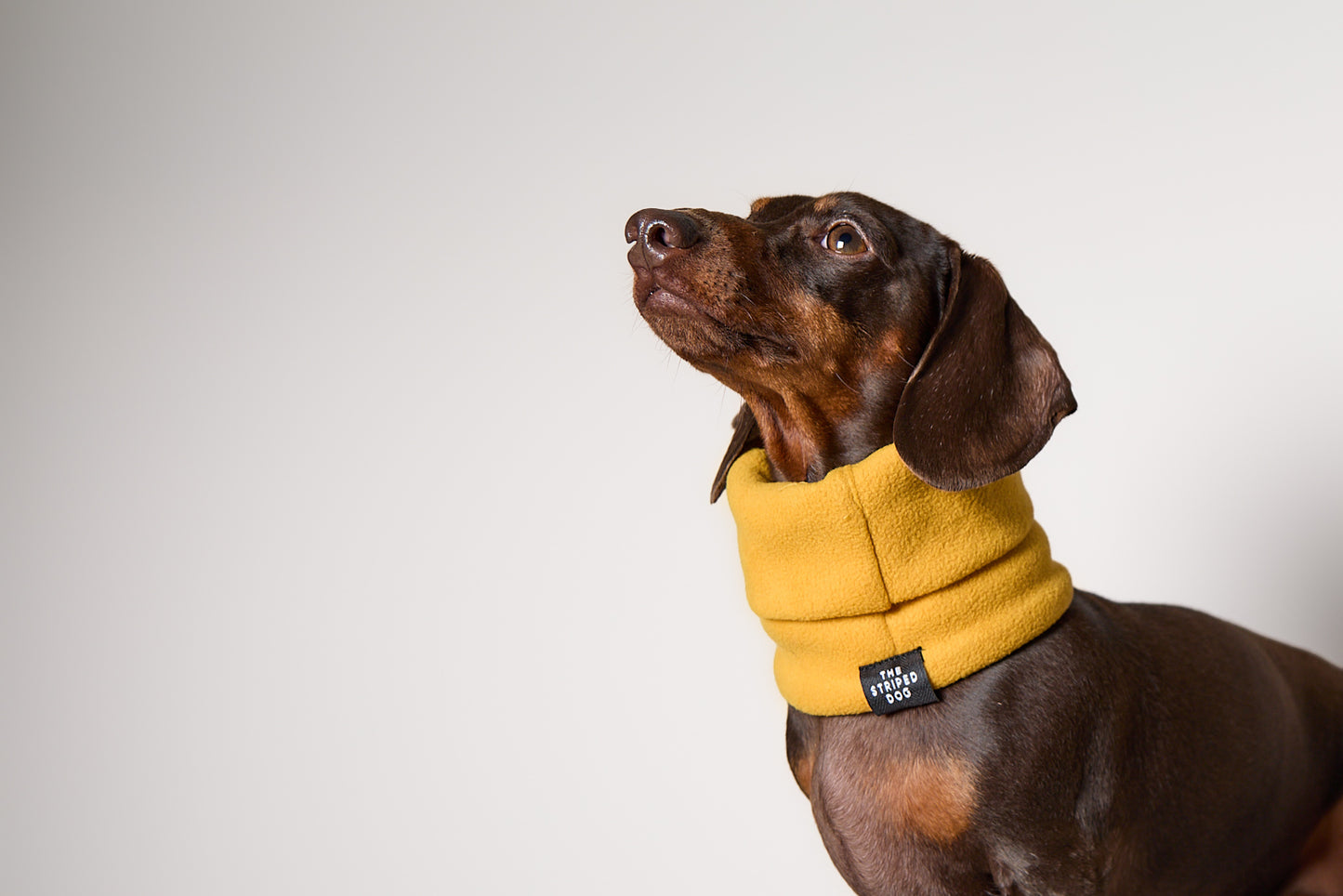 Cuello Mostaza en Fleece CHILL