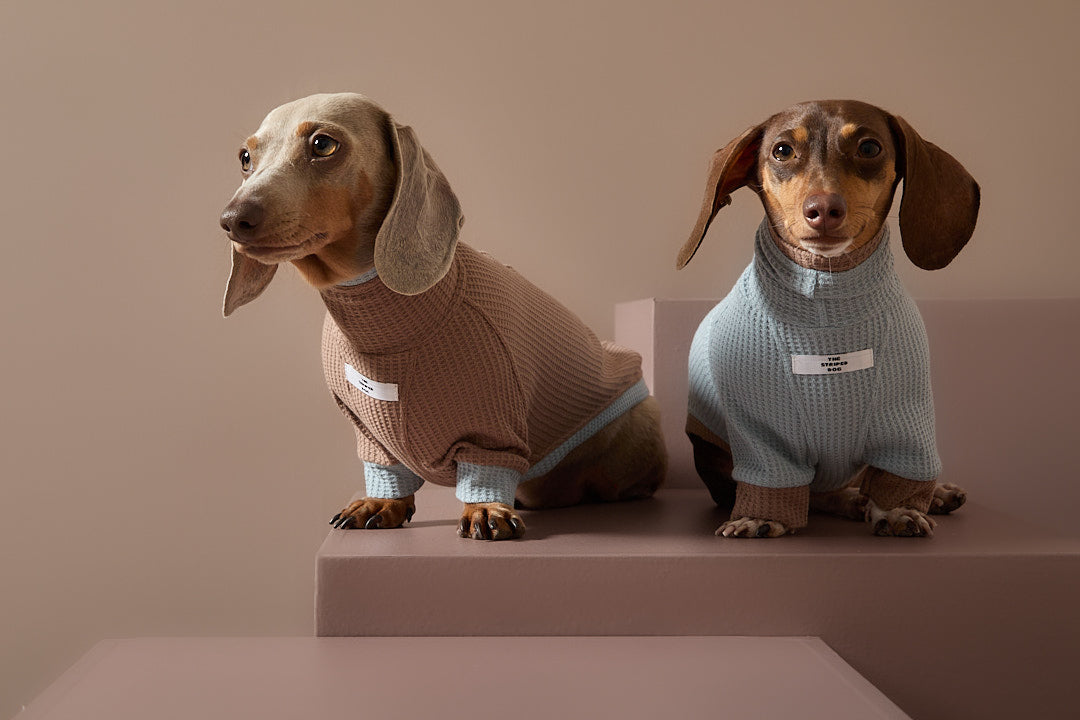 Sueter Waffle Azul GRAIN para perro Salchicha