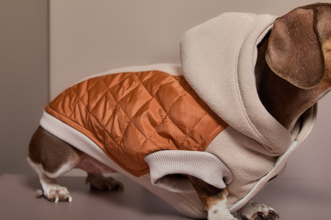 Chaleco Acolchado DUNE para Perro Salchicha