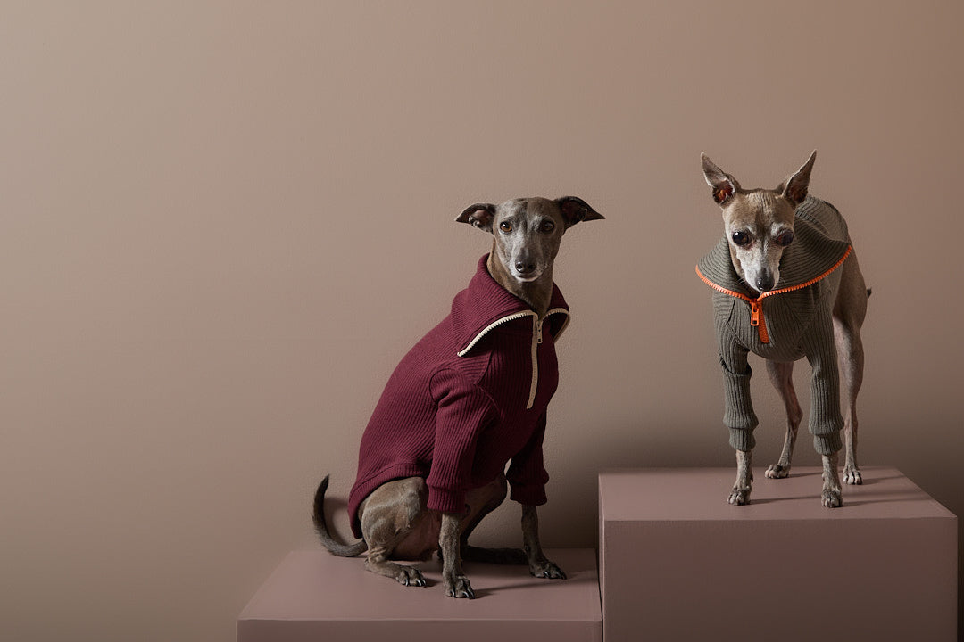 Sueter Vinotinto con Cierre Galgo Italiano / Whippet KNIT