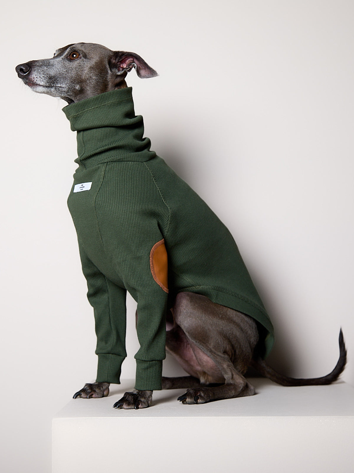 Sueter de Rib Cuello Tortuga Verde Oliva y Parches MIST para Galgo Italiano / Whippet