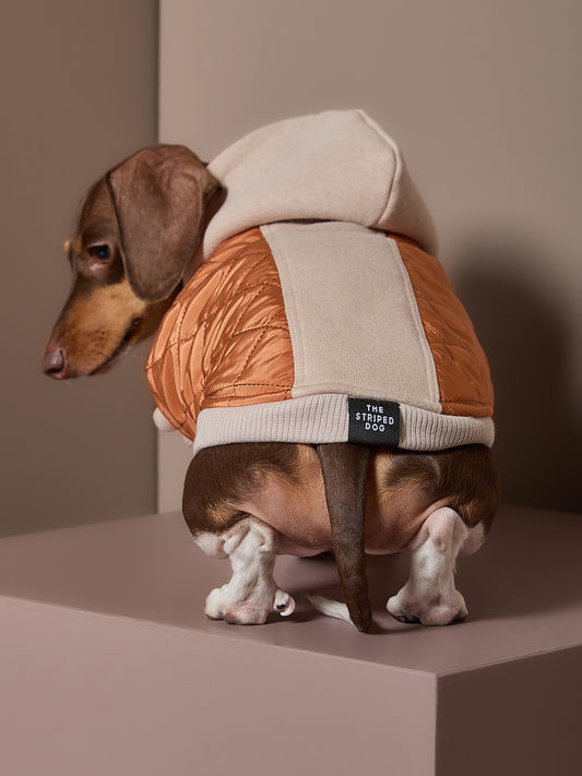 Chaleco Acolchado DUNE para Perro Salchicha