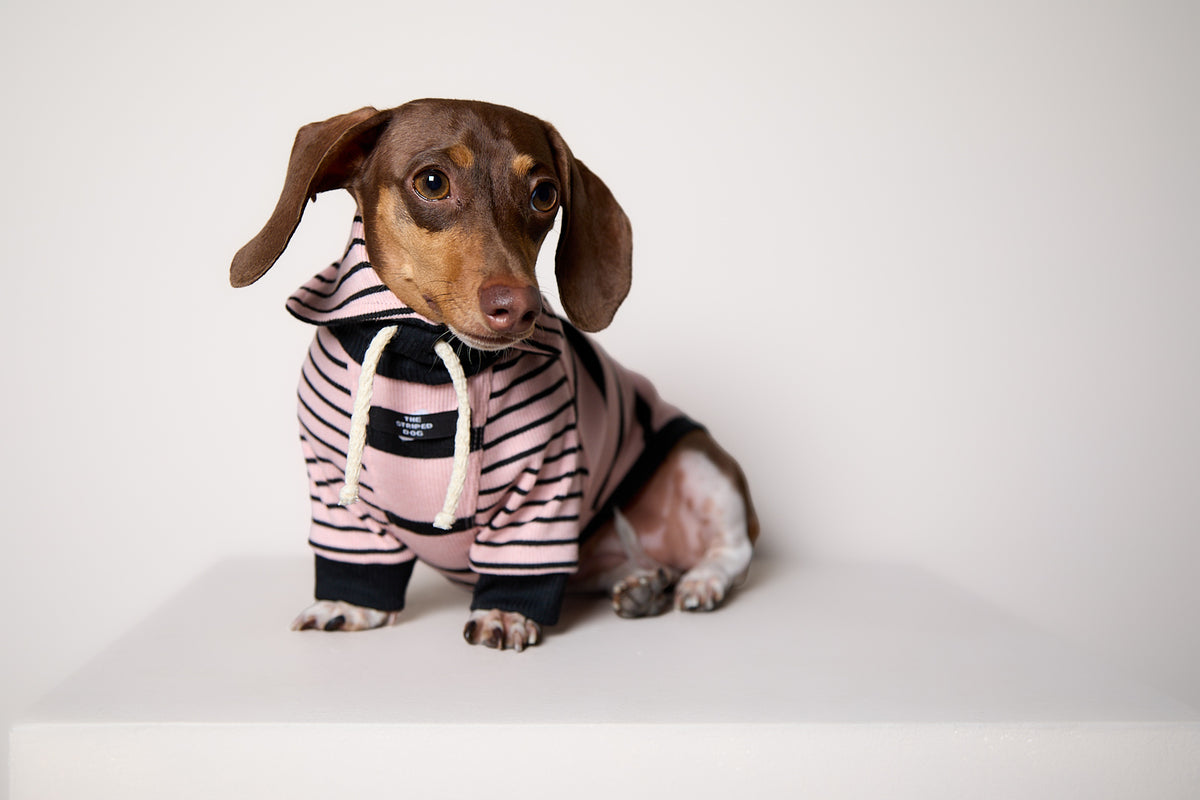 Sueter de Rayas Rosado y Negro LINE para Perro Salchicha