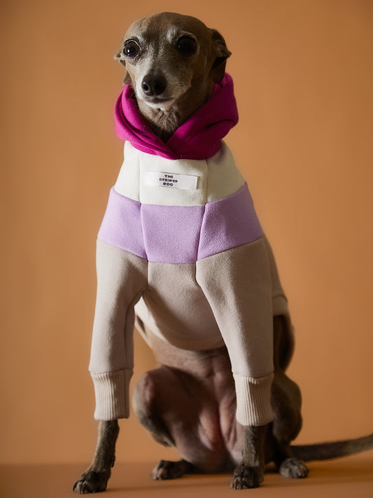 Buzo Capucha en Bloques de Color Claro Galgo Italiano / Whippet MACARON