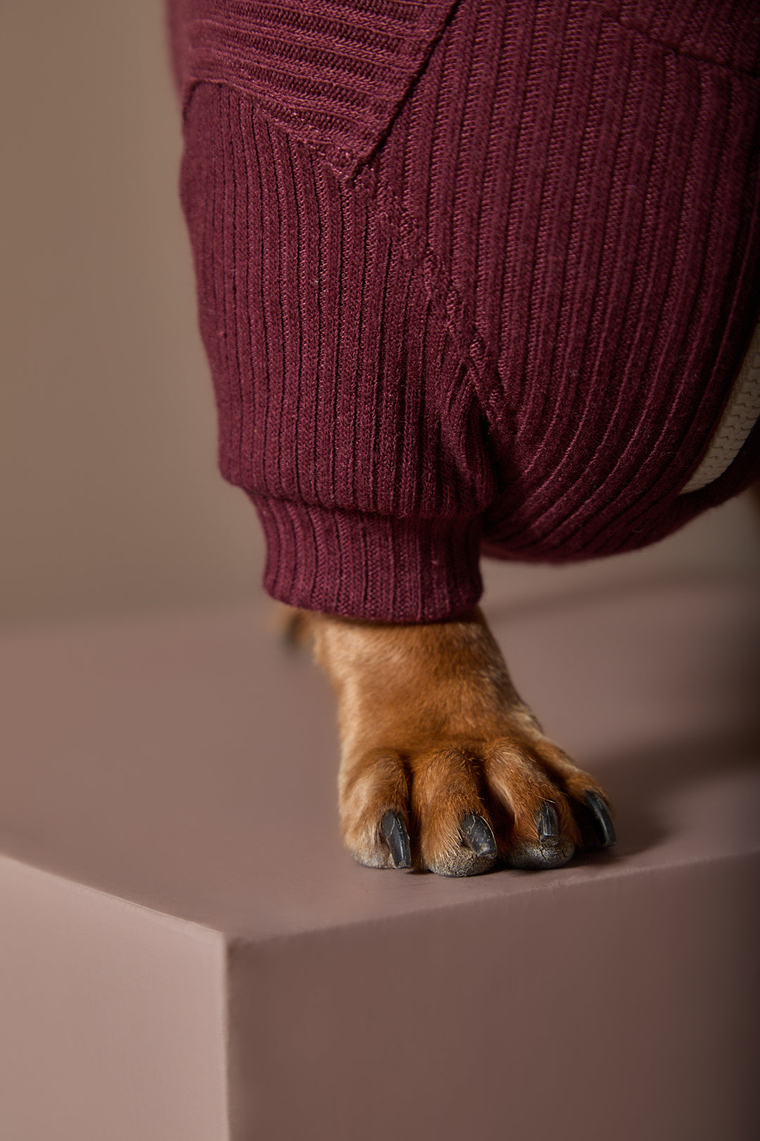 Sueter Vinotinto con Cierre Salchicha KNIT