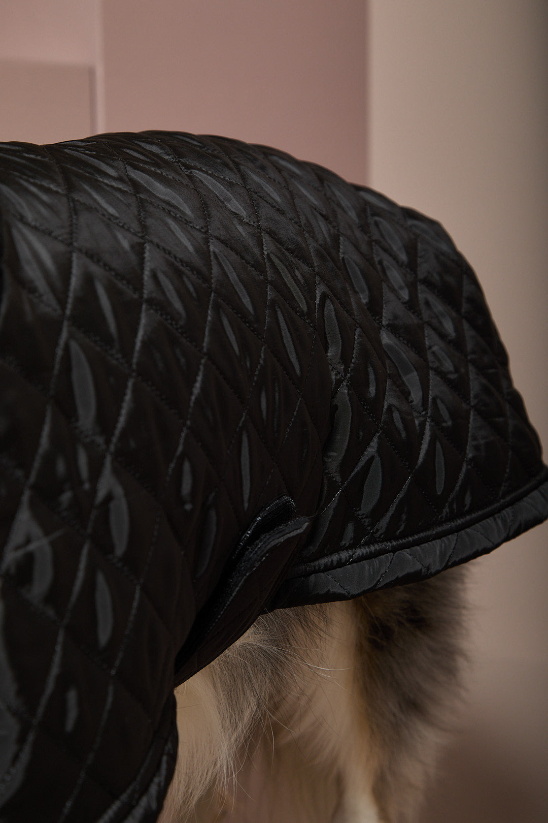 Capa Negra Cuello Tortuga HIRO