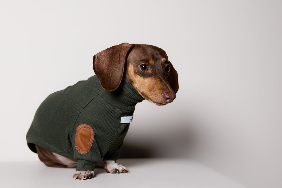 Sueter de Rib Cuello Tortuga Verde Oliva y Parches MIST para Perro Salchicha