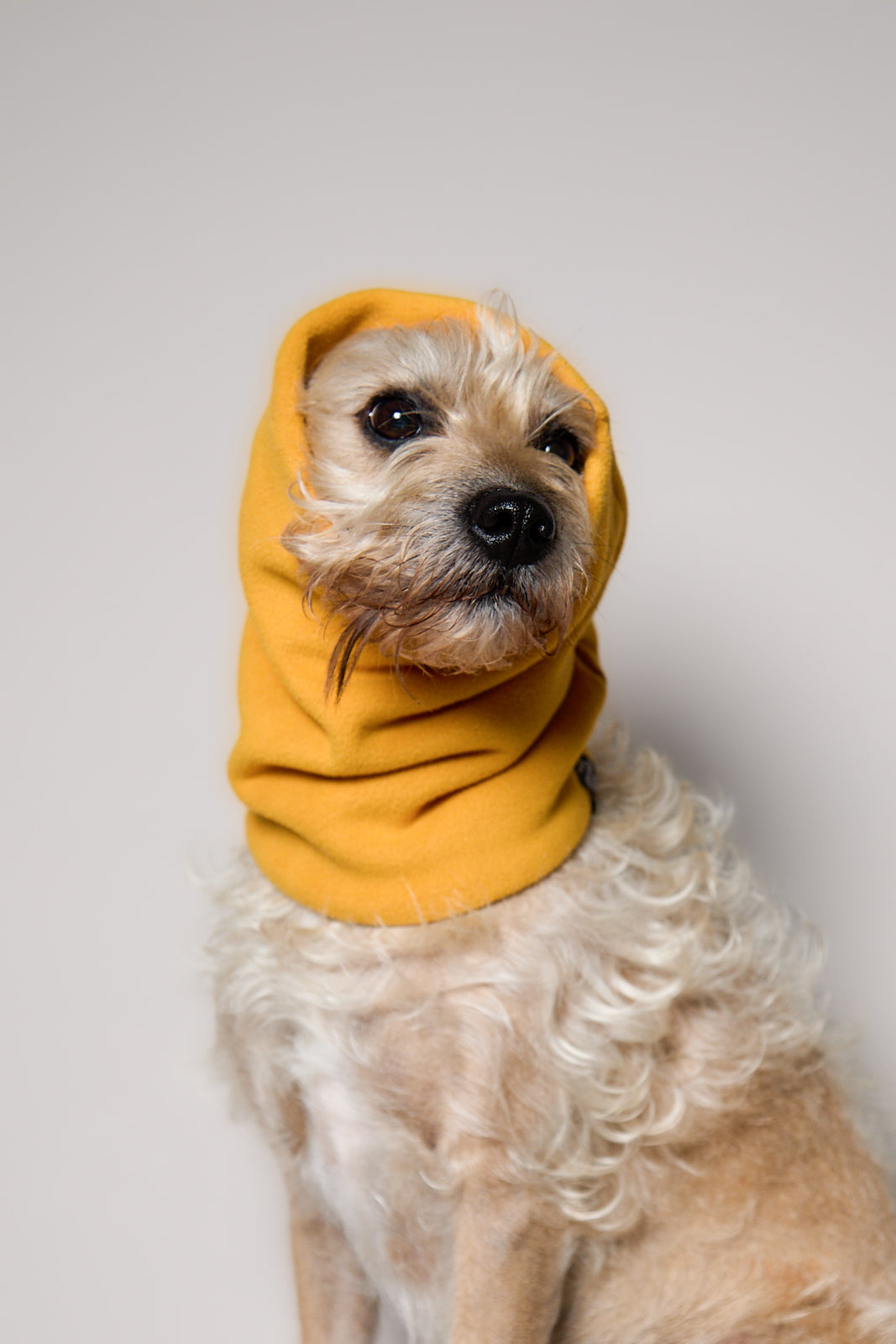 Cuello Mostaza en Fleece CHILL