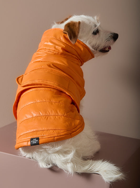 Chaqueta Naranja Acolchada EMBER