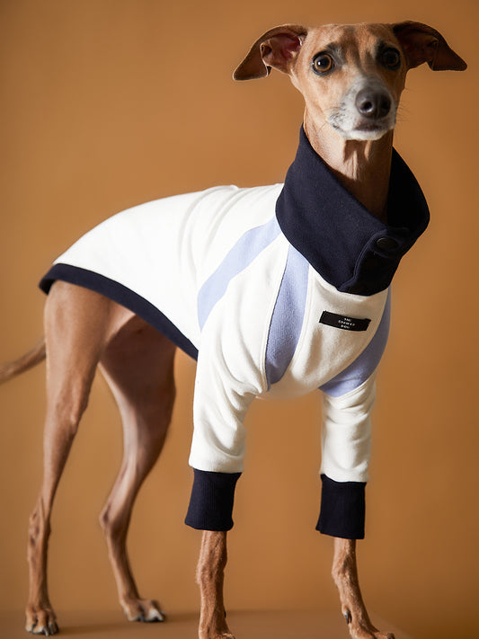 Sueter Tricolor Cuello Tortuga Galgo Italiano / Whippet EMILY