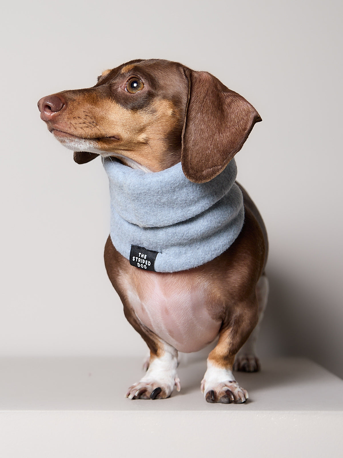 Cuello Gris Claro en Fleece CHILL