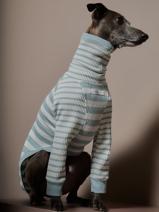 Sueter Rayas Turquesa y Crema Cuello Tortuga Galgo Italiano / Whippet REED