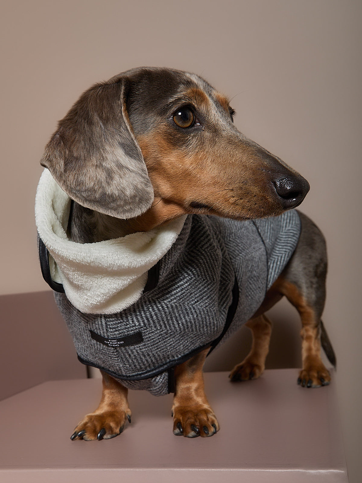 Chaqueta Gris en Espina de Pescado Salchicha TWILL