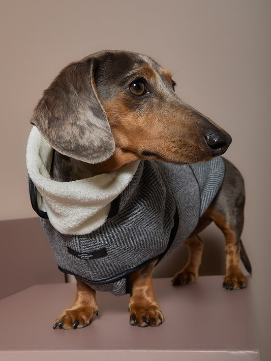 Chaqueta Gris en Espina de Pescado Salchicha TWILL