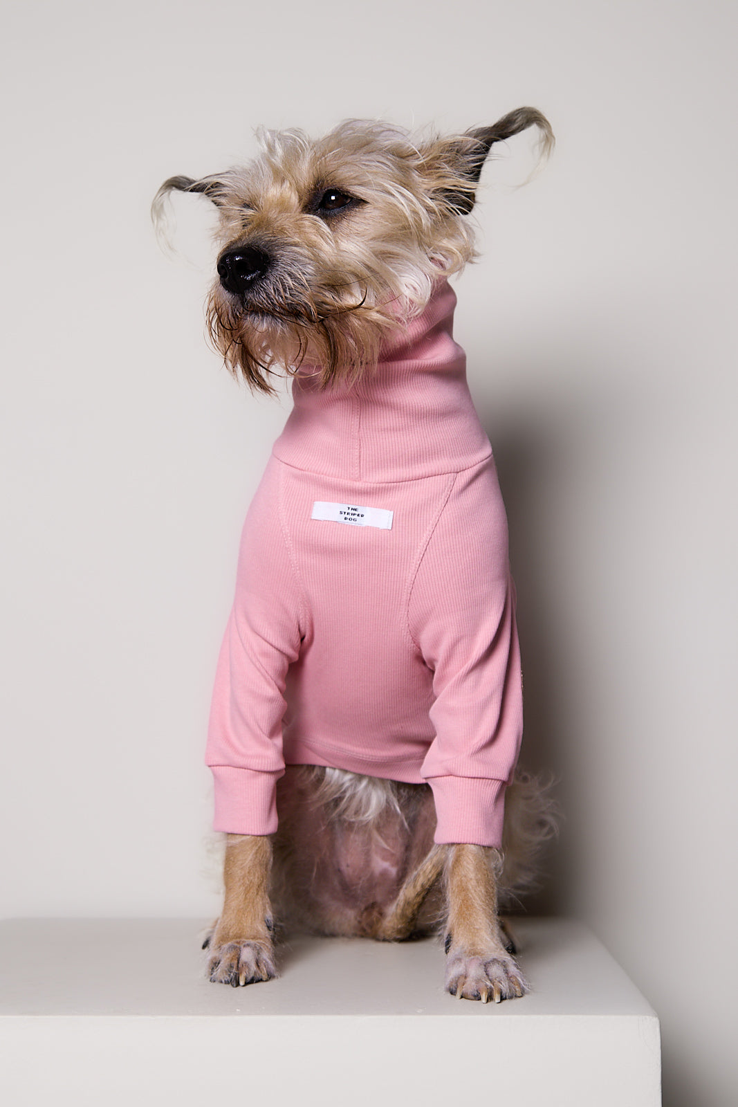 Sueter de Rib Cuello Tortuga Rosado y Parches MIST para Perro Standard