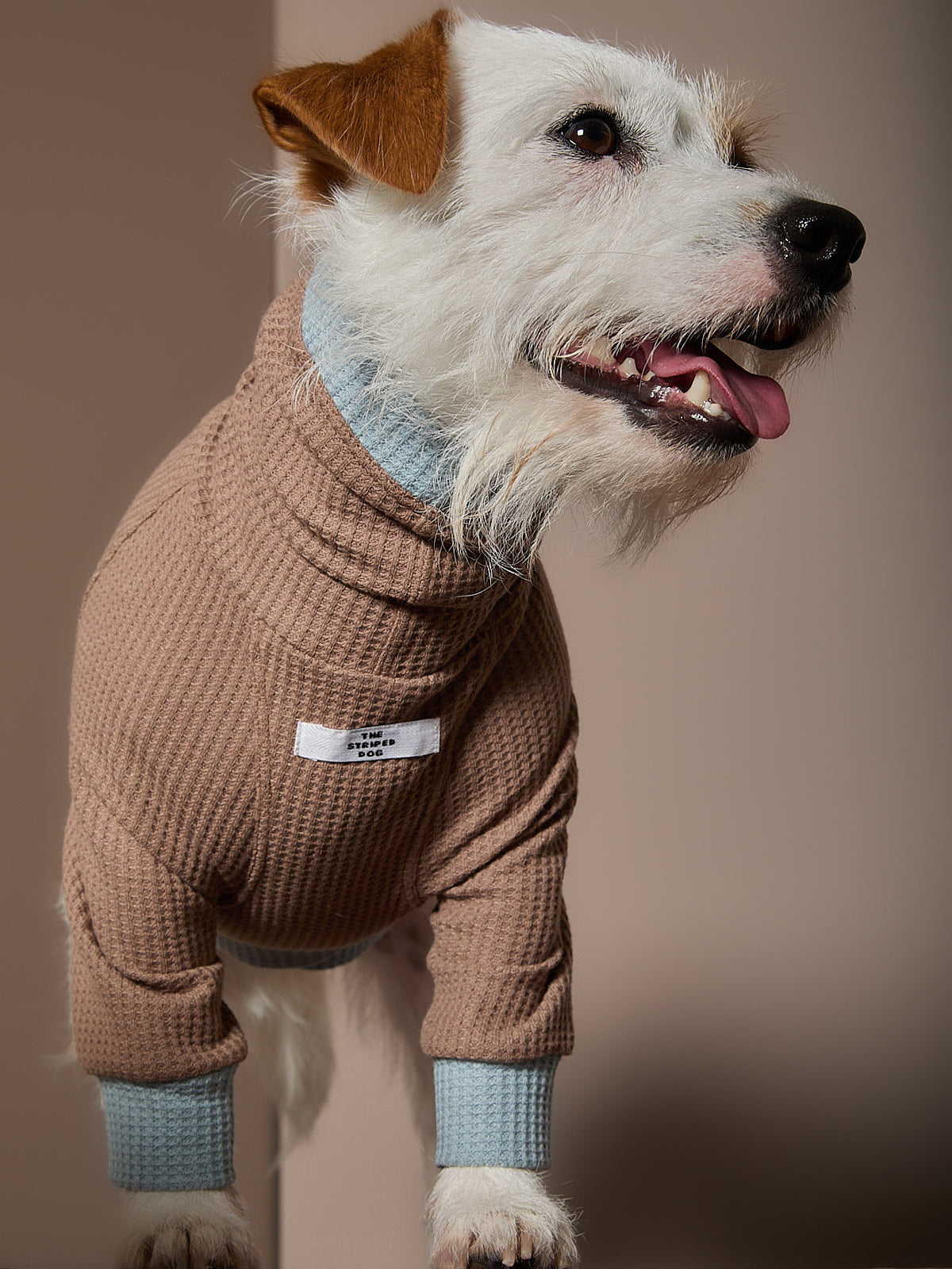 Sueter Waffle Moka GRAIN