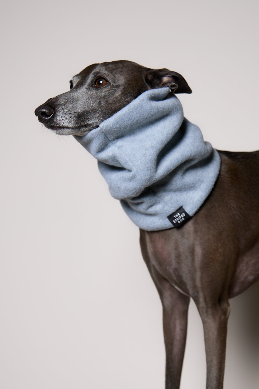 Cuello Gris Claro en Fleece CHILL