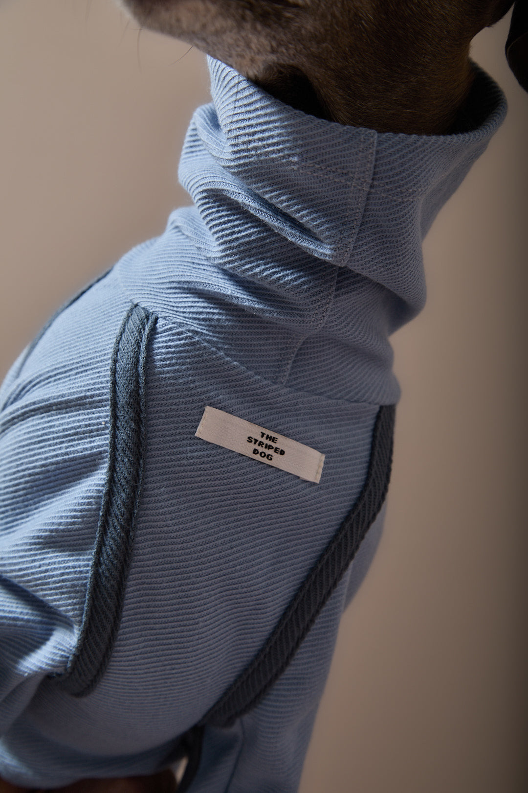 Sueter Azul Claro Cuello Tortuga Galgo Italiano / Whippet CAIRO