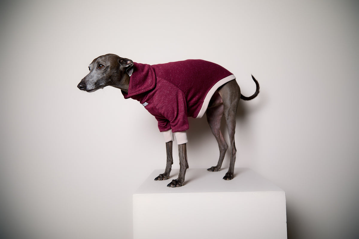 Sueter Cuello Alto Vinotinto DUSK para Galgo Italiano / Whippet