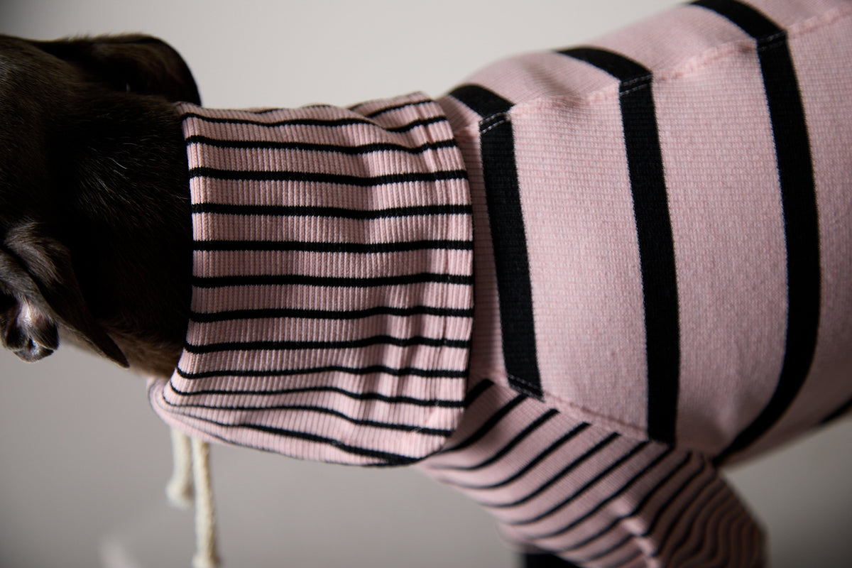 Sueter de Rayas Rosado y Negro LINE para Galgo Italiano / Whippet