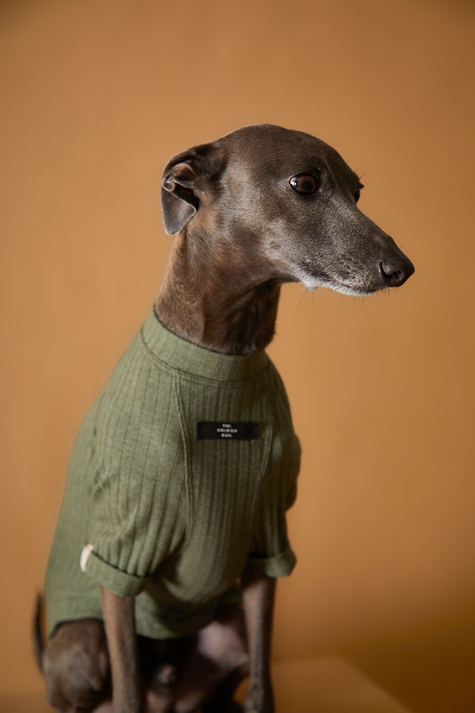 Camiseta Verde Galgo Italiano / Whippet CLAIRE