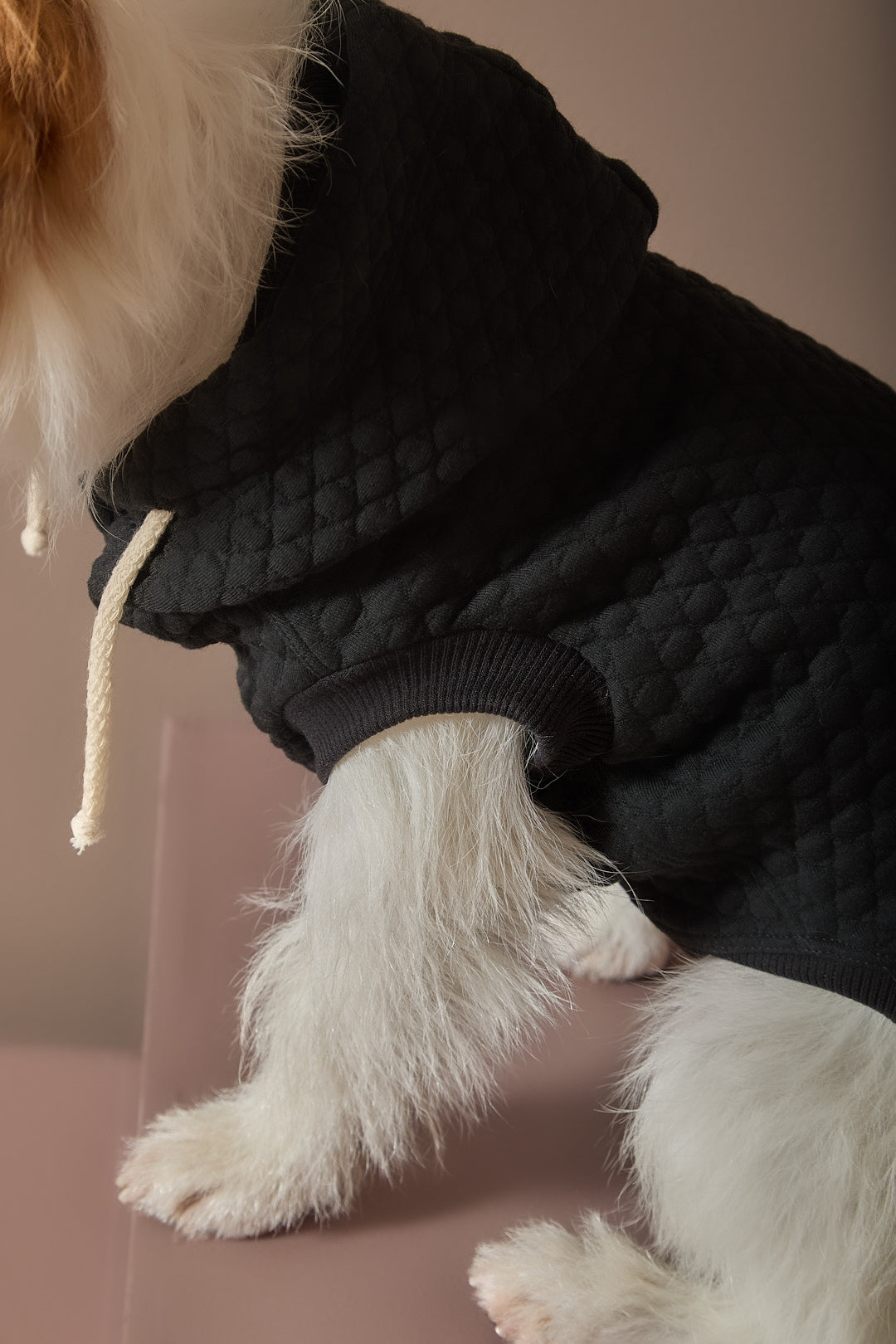 Chaleco Negro Texturizado con Capucha BIRCH