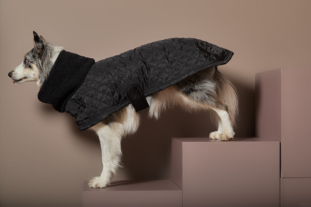 Capa Negra Cuello Tortuga HIRO