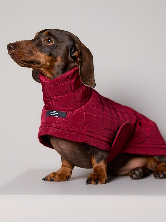 Chaqueta Acolchada Cuello Tortuga Vinotinto VELA para Perro Salchicha